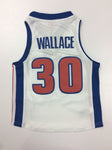 Swingman Jersey Detroit Pistons Rasheed Wallace