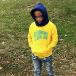 Billionaire Boys Club Primary Hoodie 51