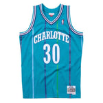 Swingman Jersey Charlotte Hornets Dell Curry