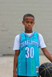 Swingman Jersey Charlotte Hornets Dell Curry