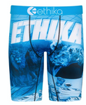 Ethika Blue Print