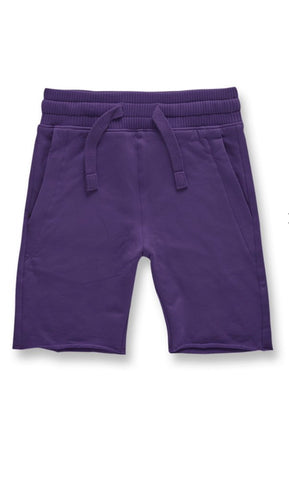 Jordan Craig KIDS PALMA FRENCH TERRY SHORTS (PURPLE)